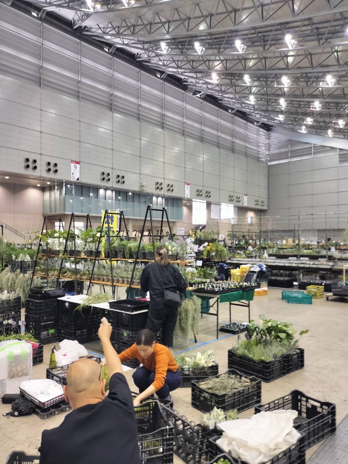 花友フェスタ 準備中_e0309501_12433518.jpeg