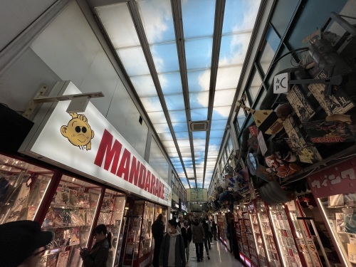 渋谷西武 ポップアップがスタートです。_e0309501_13270138.jpeg