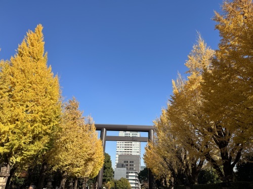 紅葉_e0309501_17183003.jpeg