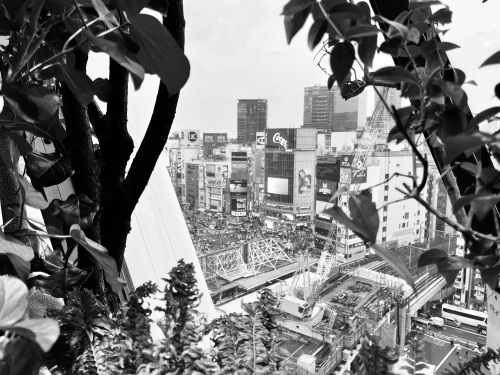 Autumn In Shibuya_e0309501_23420172.jpeg