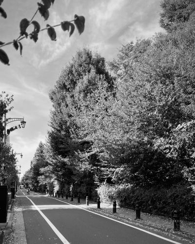 東京百景 秋の夜、西荻にて_e0309501_21260890.jpeg